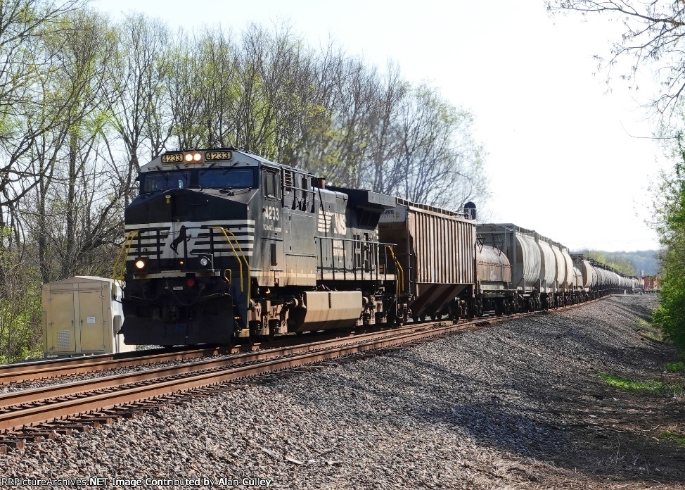 NS 4233-19K